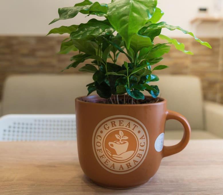 Il Tempo Di Un Caffe Appartement Napels Buitenkant foto